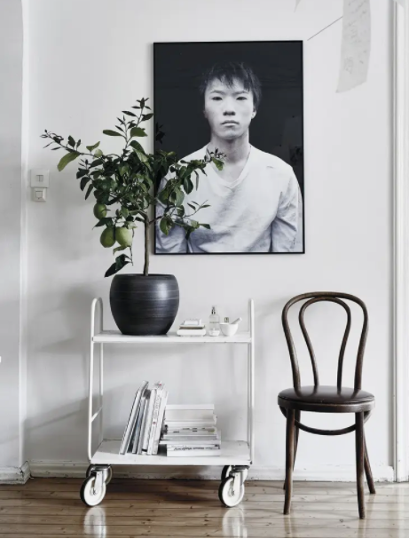 Green Home Book