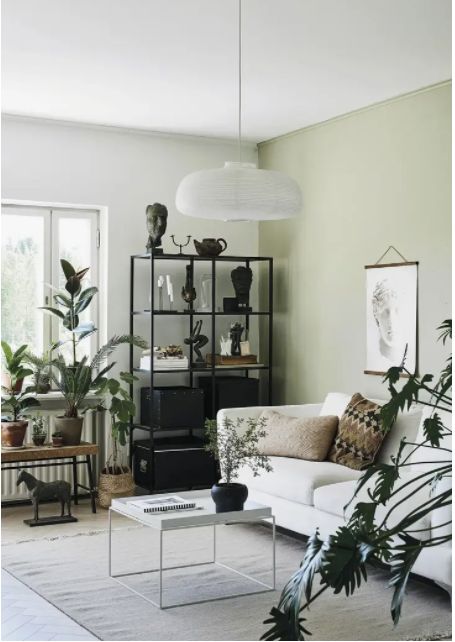 Green Home Book
