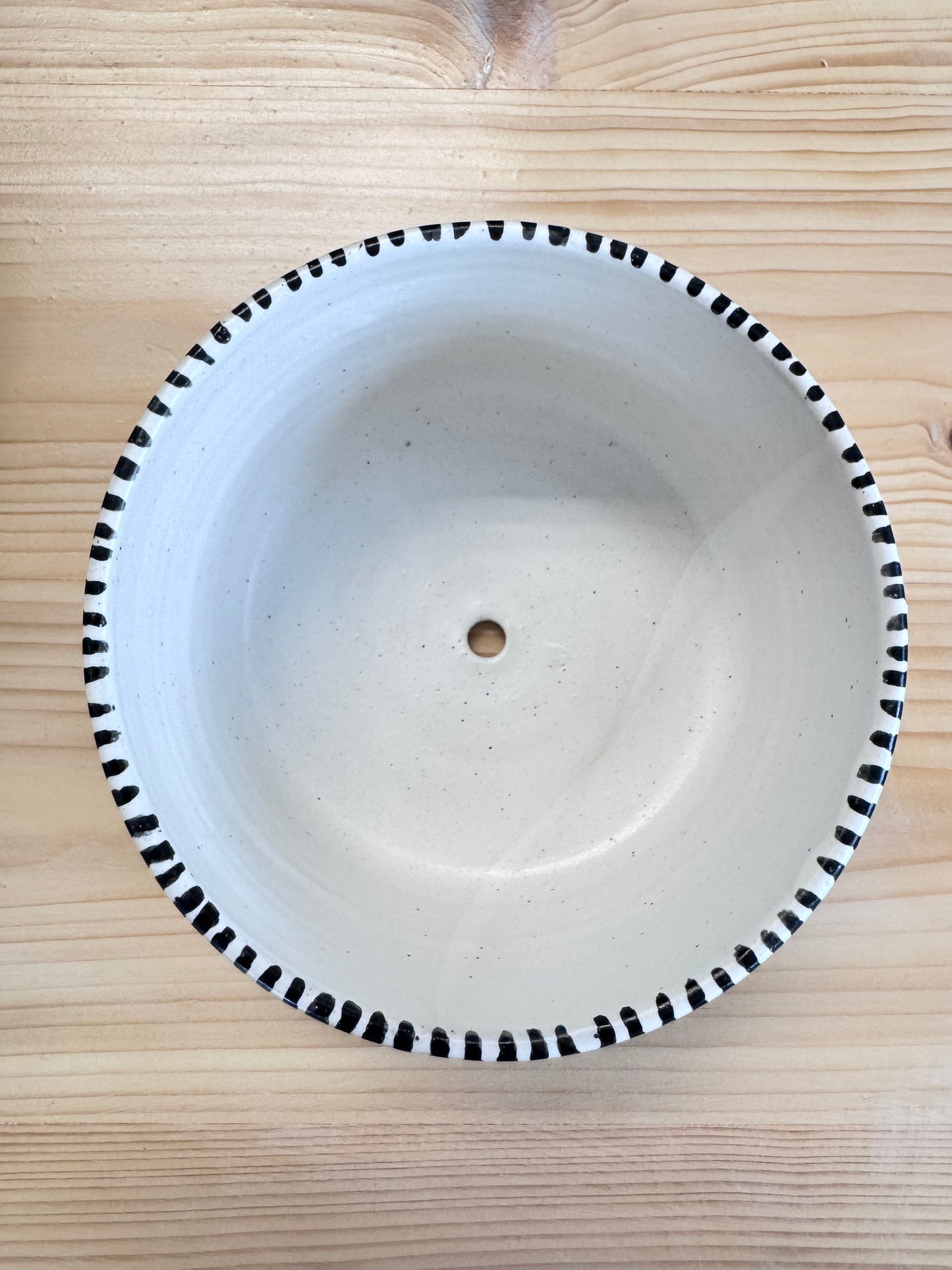 Black Stripe Ceramic Planter