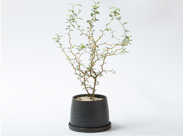 KINTO Plant Pot, Black