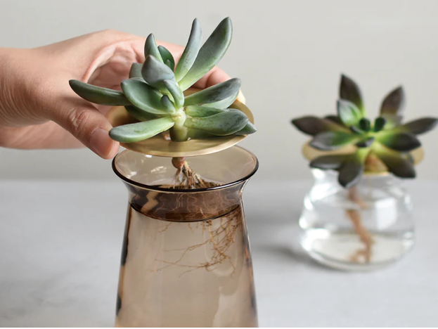 The Luna Vases
