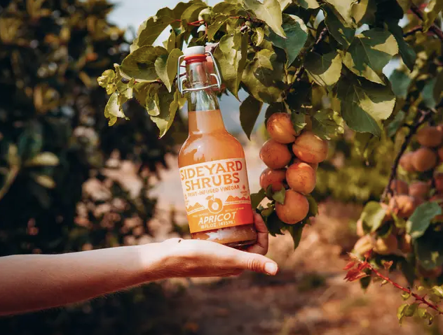 Apricot Fruit Vinegar (Shrubs)