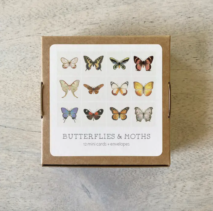 Butterflies & Moths Mini Cards Set