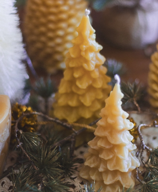 Evergreen Tree Beeswax Candles