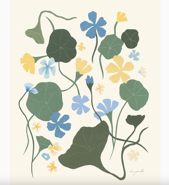 Blue Nasturtuims Print