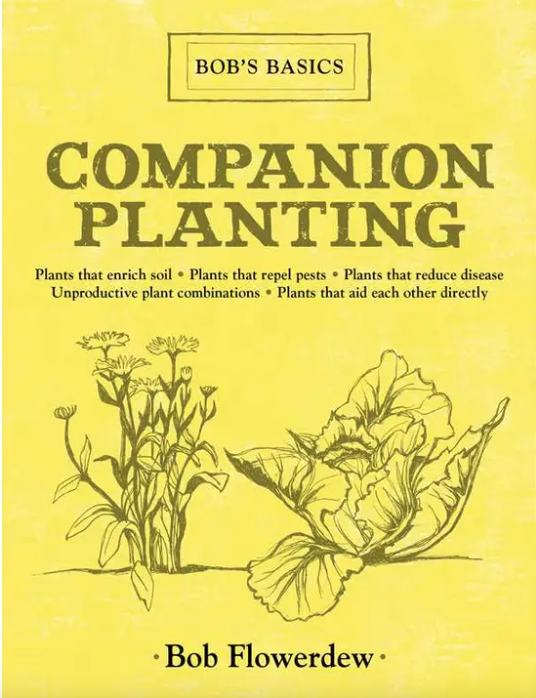 Companion Planting