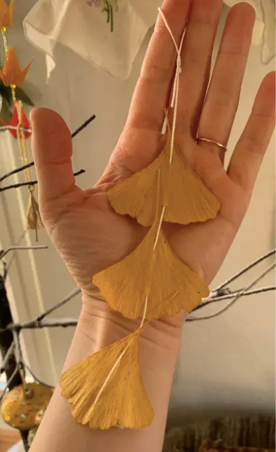 Dried Ginkgo Leaf Ornaments