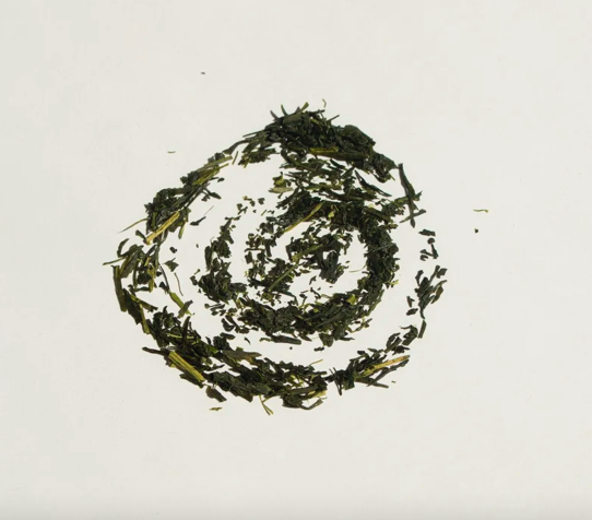 Fukuoka Sencha