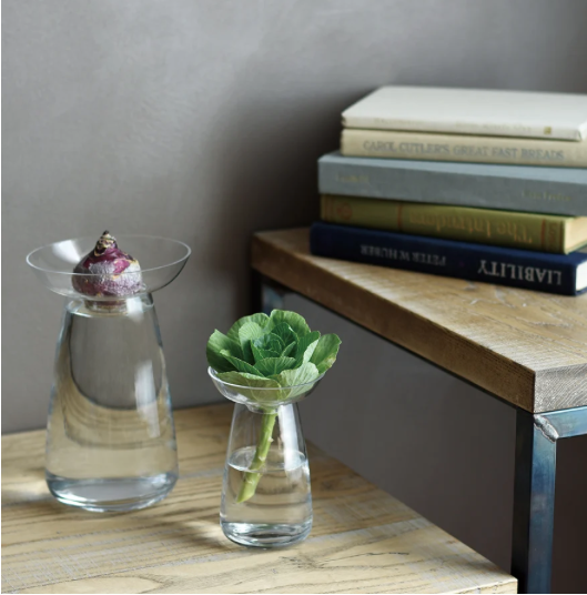 Aqua Culture Vases
