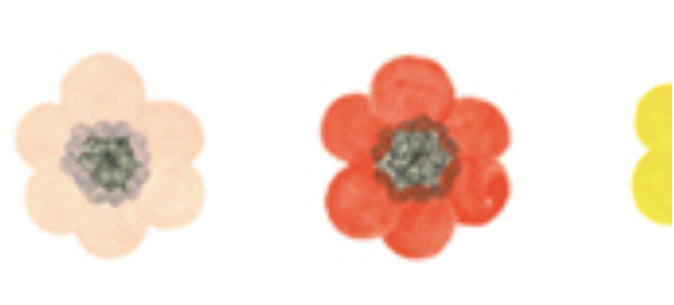 Hana by Ichiro Yamaguchi Washi Tape