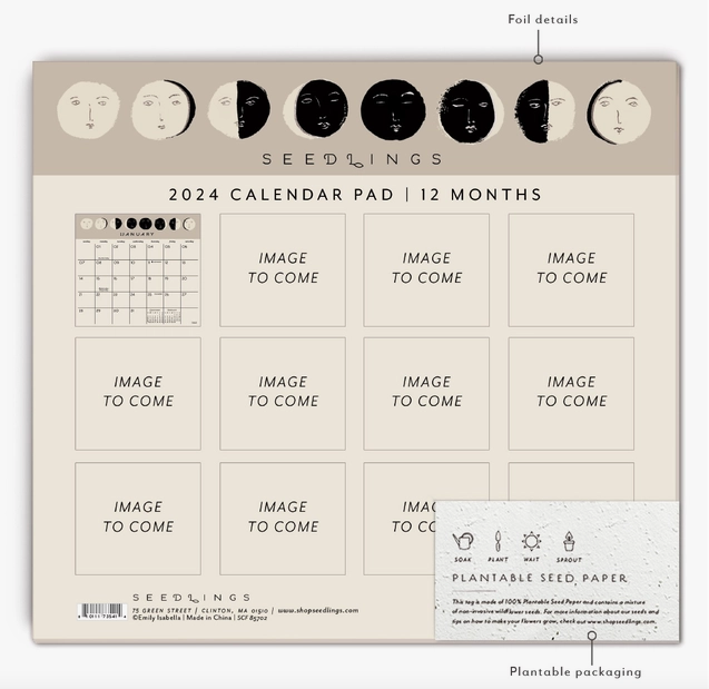 Moon Faces 2024 Calendar Pad