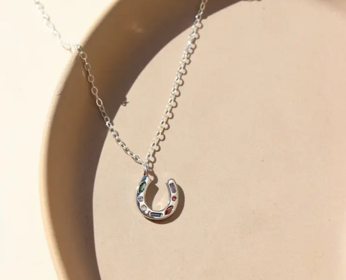 Horseshoe Charm Necklace in Silver