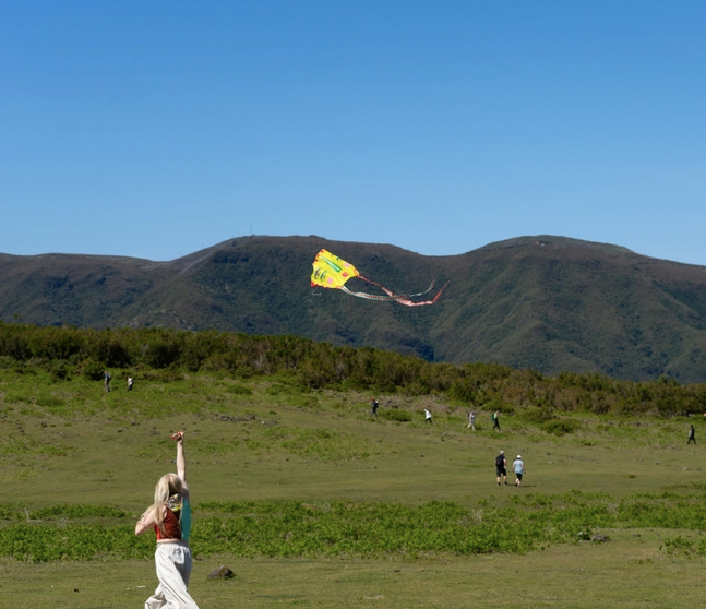 Pocket Kite in Sky Seer