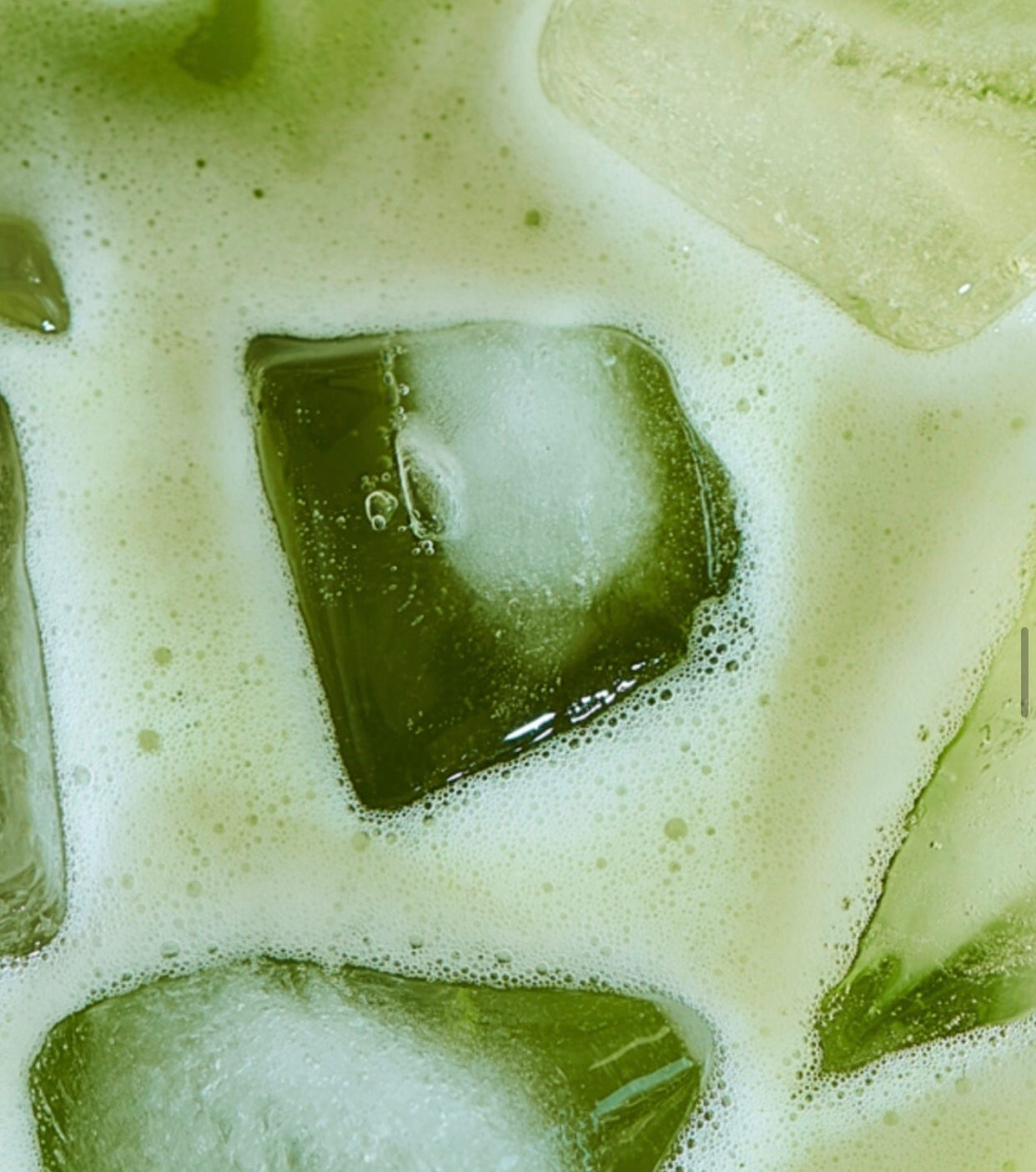Happy Matcha Sticks