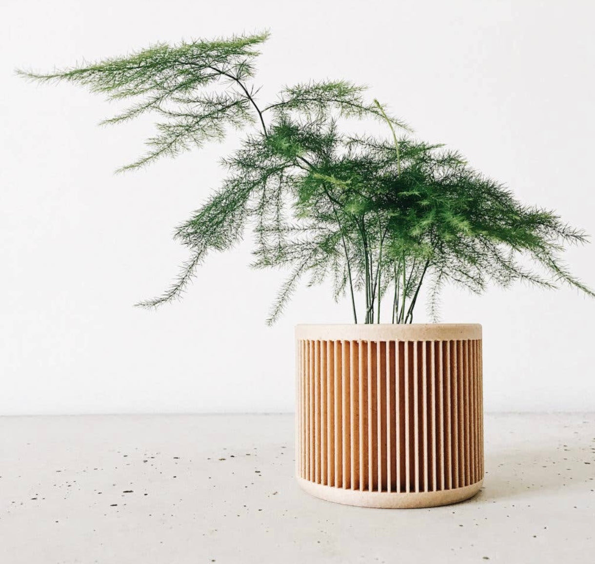 Japan Planter