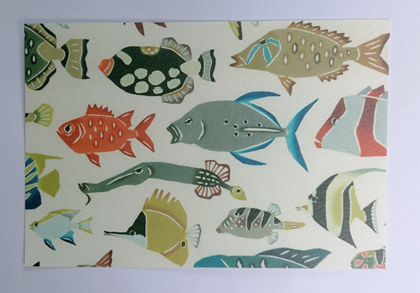 Okinawan Postcard in Fish of the Ryukyus