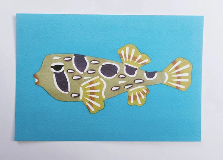 Okinawan Postcard in Porcupinefish