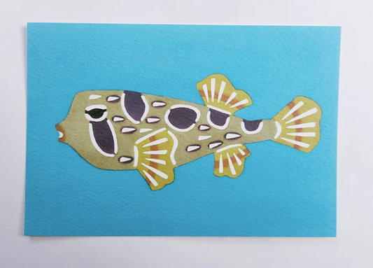 Okinawan Postcard in Porcupinefish