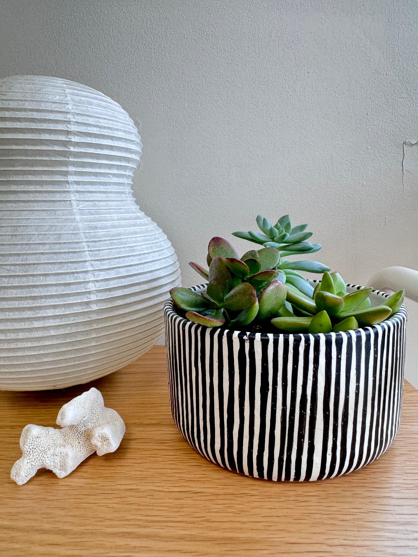 Black Stripe Ceramic Planter