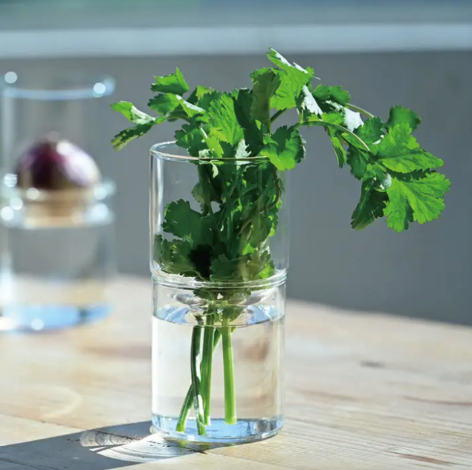 Glass Two-Piece Vase in Clear
