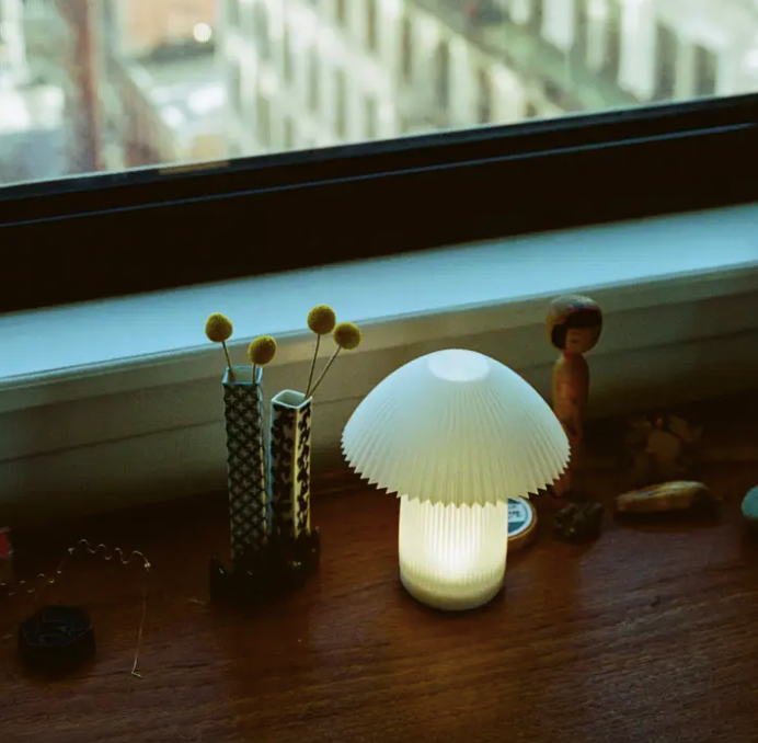 Cordless Kinoko Lamp