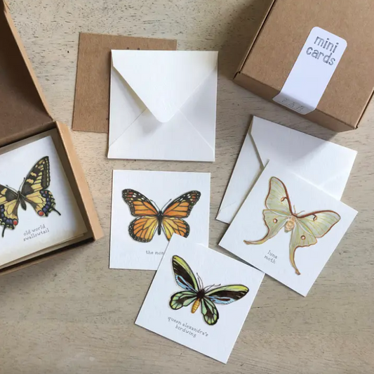 Butterflies & Moths Mini Cards Set