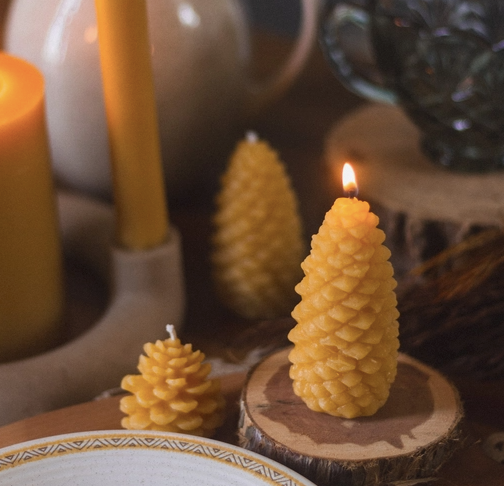 Pine Cone Beeswax Candles