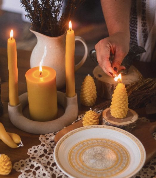 Pine Cone Beeswax Candles