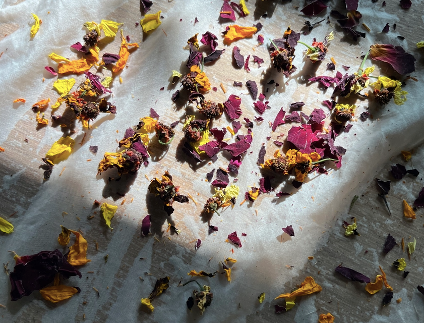 Botanical Dye Kit