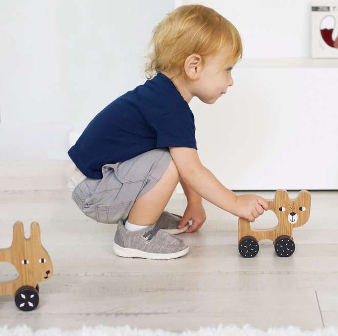 Wooden Push Toys