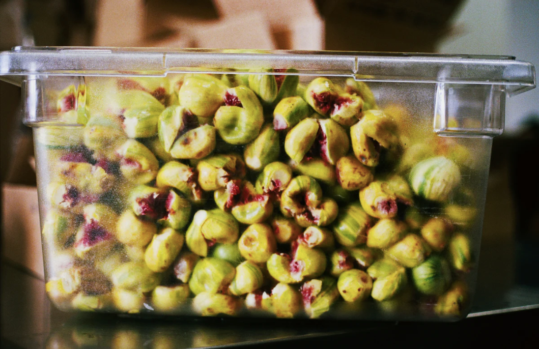 Dreamin' Man Candy Stripe Fig & Elderflower Fruit Spread