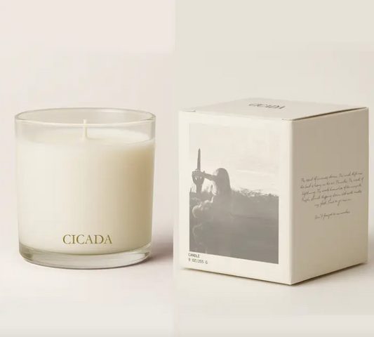 No.5 Desert Horizon Candle