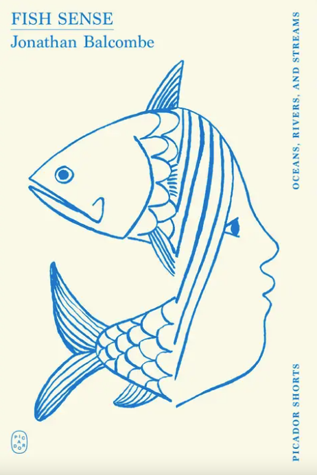 Fish Sense