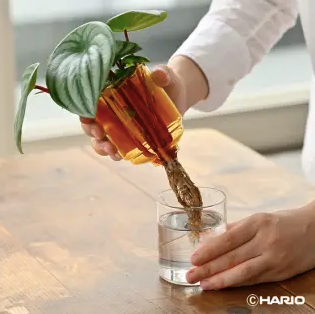 Glass Two-Piece Vase in Amber