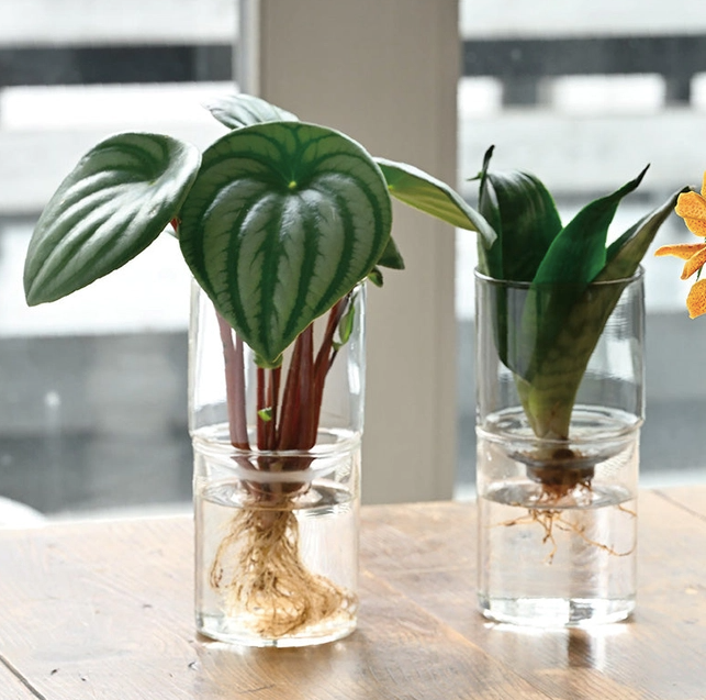 Glass Two-Piece Vase in Clear