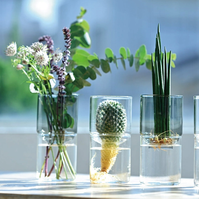 Glass Two-Piece Vase in Clear