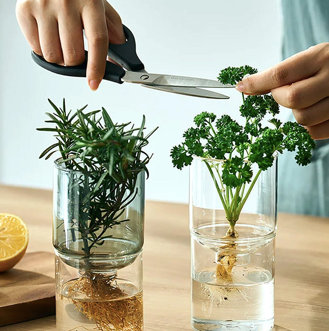 Glass Two-Piece Vase in Clear
