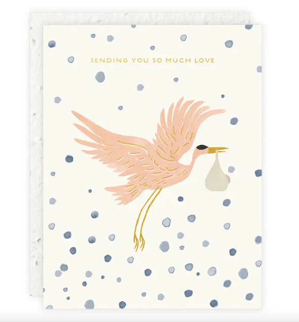 Stork Delivery Baby Card – W A N D E R S T A T E Mercantile