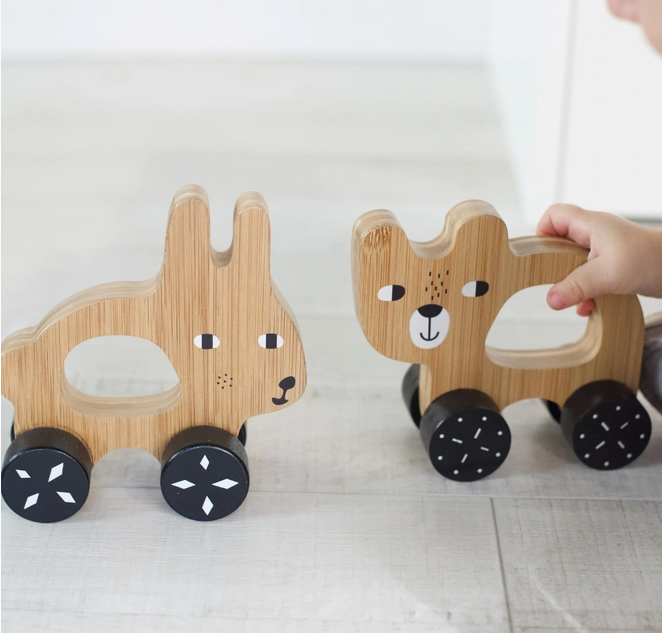 Wooden Push Toys