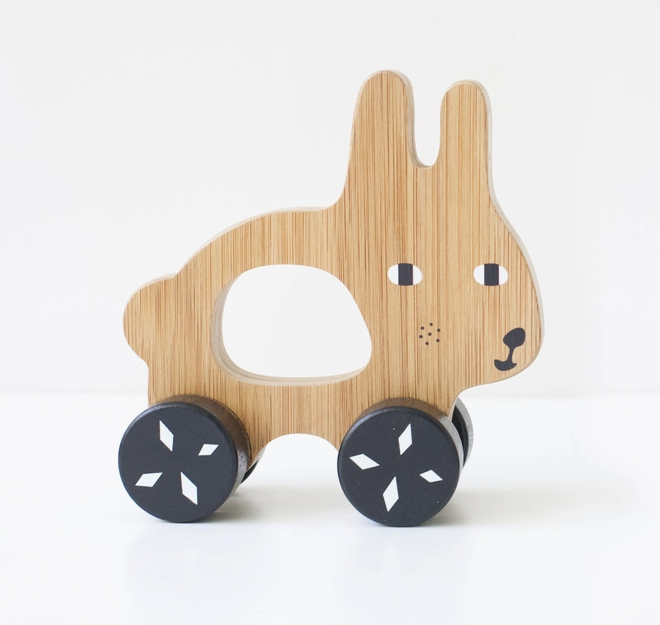 Wooden Push Toys