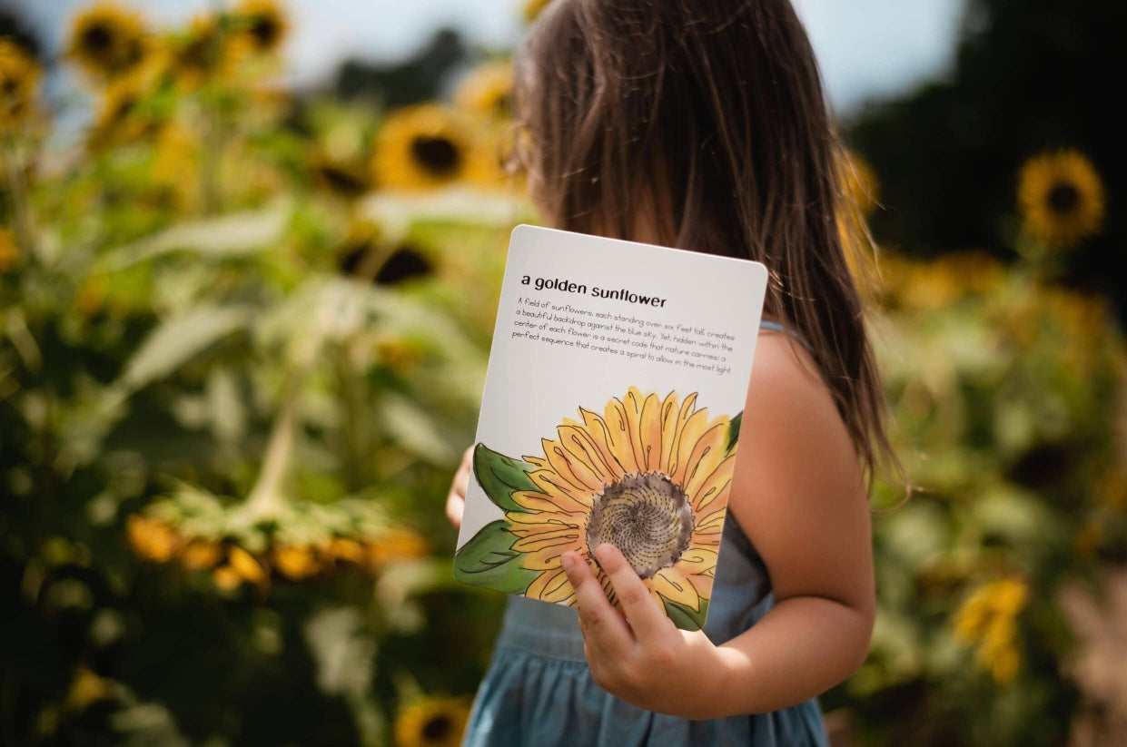 Nature Cards for Kids